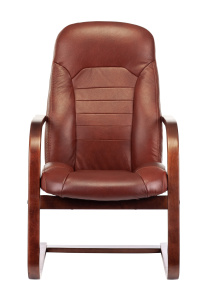 Бюрократ T 9923 WALNUT AV